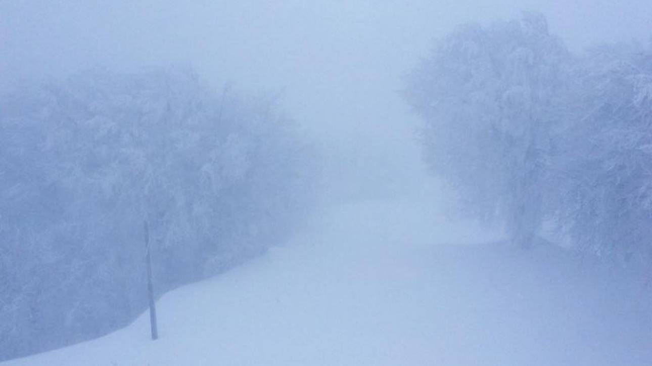 Χιονοθύελλα στο Πήλιο - Έκλεισε το χιονοδρομικό κέντρο