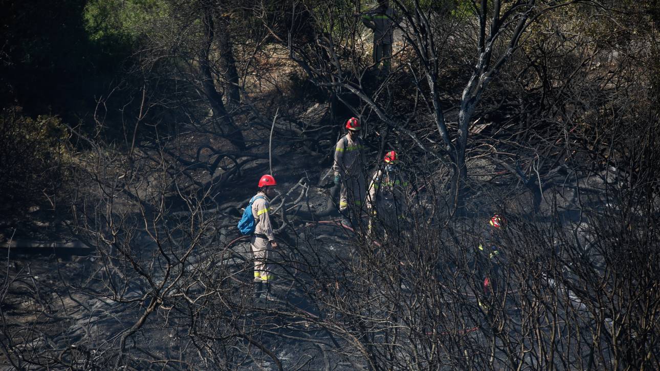 Αποτέλεσμα εικόνας για Πυροσβεστικής υπηρεσίας Μυτιλήνης Νικόλαο Μπαμπάκο οφείλεται σε εμπρησμό
