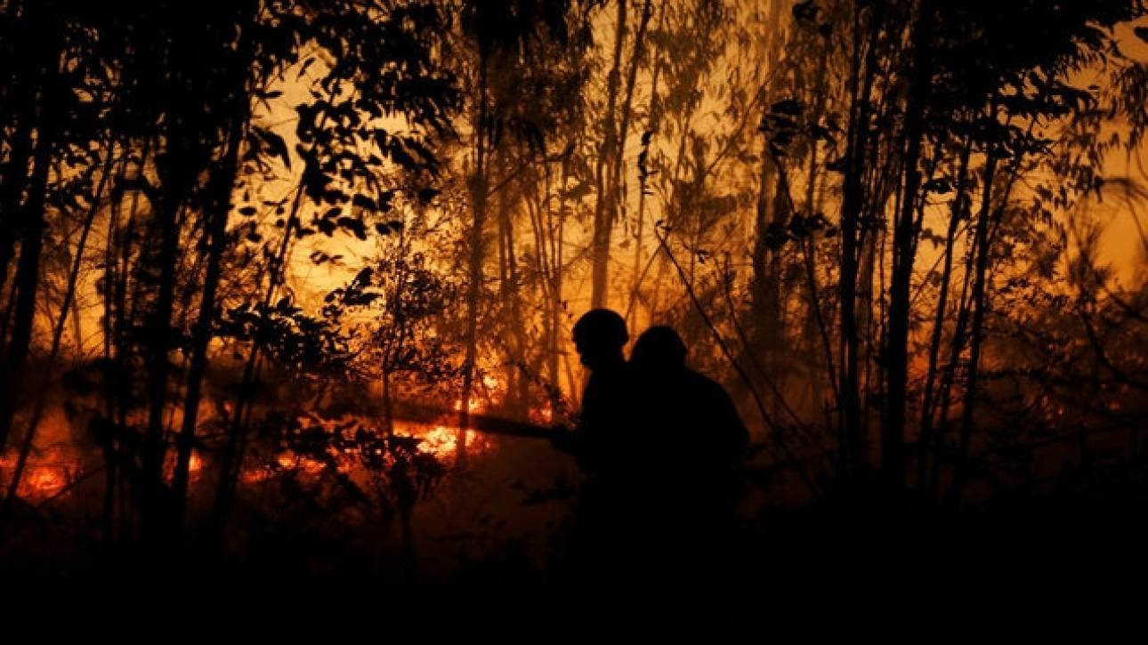 Ισπανία: Οι περισσότερες δασικές πυρκαγιές της τελευταίας πενταετίας καταγράφηκαν φέτος