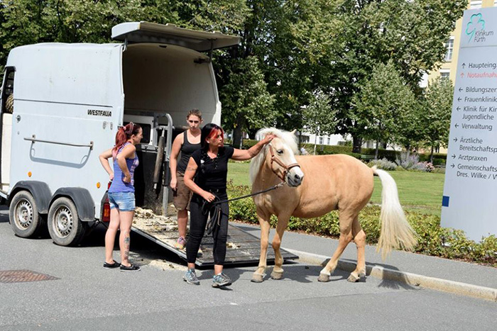 3xwyr horse meets with dying owner 3