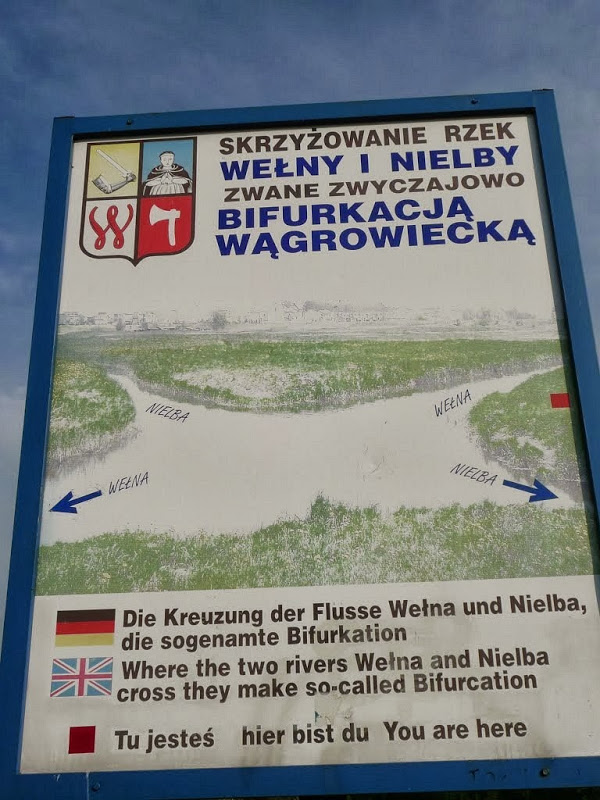 wagrowiec bifurcation 23