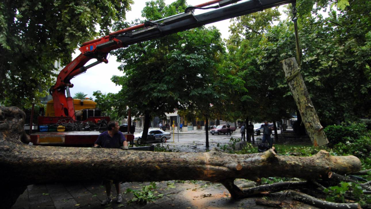 Θεσσαλονίκη: Προβλήματα στην ηλεκτροδότηση λόγω πτώσης ...