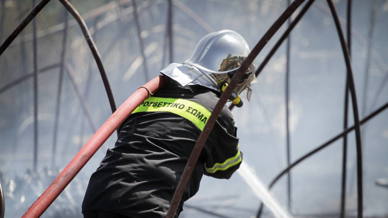 ÎœÎµÎ³Î¬Î»Î· Ï†Ï‰Ï„Î¹Î¬ ÏƒÎµ Î²Î¹Î¿Î¼Î·Ï‡Î±Î½Î¹ÎºÏŒ ÎºÏ„Î®ÏÎ¹Î¿ ÏƒÏ„Î± ÎŸÎ¹Î½ÏŒÏ†Ï…Ï„Î± Î’Î¿Î¹Ï‰Ï„Î¯Î±Ï‚