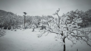 Κακοκαιρία «Σοφία»: Ξεπέρασε το ένα μέτρο το χιόνι στα ορεινά Τρίκαλα