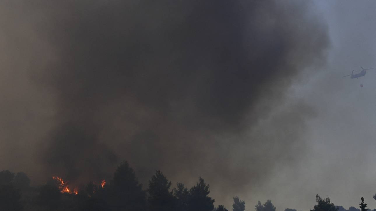 Φωτιά: Μεγάλη πυρκαγιά στην Εύβοια