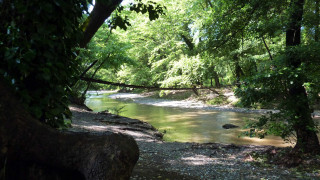 Ο ποταμός Κηρέας με το πλατανοδάσος και τις νύμφες