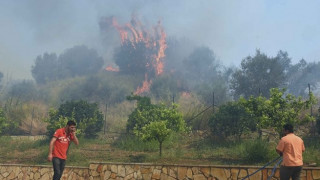 Υπό έλεγχο τίθεται η πυρκαγιά στη Μεσσηνία