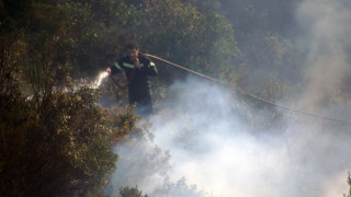 Μεγάλη φωτιά κατακαίει πευκοδάσος στη Σκόπελο