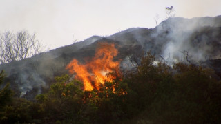 Μεγάλη πυρκαγιά σε εξέλιξη στην Ανατολή Ιεράπετρας