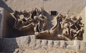 Εύρημα σπουδαίας σημασίας ο ομαδικός τάφος στο Φαληρικό Δέλτα