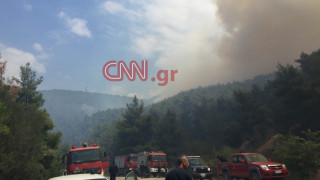 Ο αντιδήμαρχος Δερβενοχωρίων στο CNN Greece για τη φωτιά