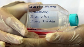 Ο ιός Ζίκα μεταδίδεται μέσω των δακρύων;