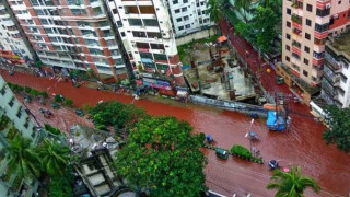 Ποτάμια αίματος ζώων στους δρόμους της Ντάκα