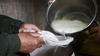 Το νέο τυρί-πόθος: Κοστίζει 1.000 ευρώ το κιλό και φτιάχνεται από γάλα γαϊδούρας (pics & vid)