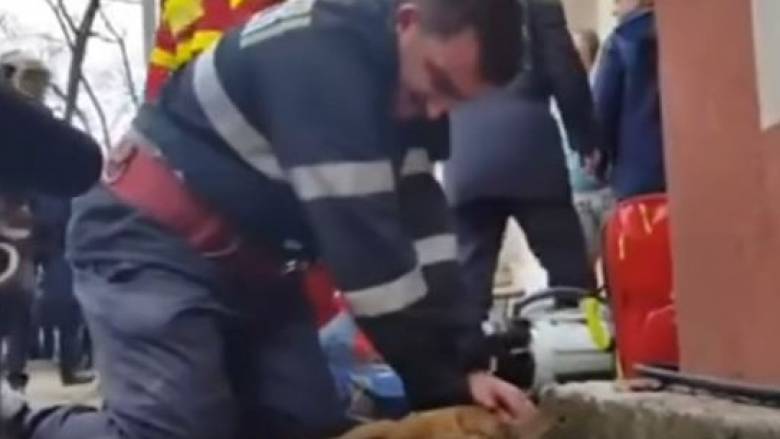 Πυροσβέστης έσωσε τη ζωή σκύλου με «φιλί της ζωής» (vid)