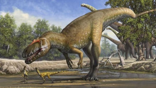 Πόσο χρόνο έκανε ένας δεινόσαυρος να βγει από το αυγό του;