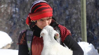 Η περιπέτεια της 11χρονης βοσκοπούλας που ξεγέννησε την κατσίκα της στο βουνό