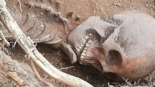 Ηράκλειο: Ο σκύλος ξέθαψε σκελετό θαμμένο πριν 20 χρόνια