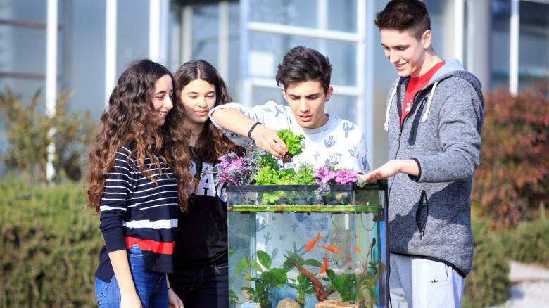 Μαθητές καλλιεργούν βιολογικά λαχανικά μέσα σε ενυδρείο χρησιμοποιώντας απόβλητα