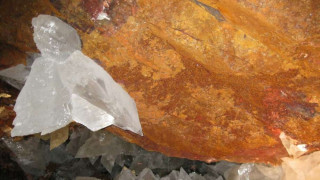 Ερευνητές ανακάλυψαν ζωντανό οργανισμό 50.000 ετών