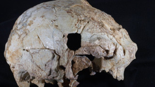 Επιστήμονες ανακάλυψαν κρανίο 400.000 ετών, προγονικό των Νεάντερνταλ