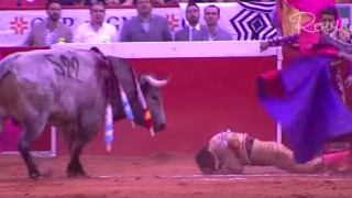 Η εκδίκηση του ταύρου: Δείτε πώς γλιτώνει από θαύμα ο ταυρομάχος (Vid)