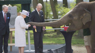 Η Βασίλισσα Ελισάβετ ταΐζει μπανάνες τους ελέφαντες (pics)