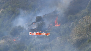 Μεγάλη πυρκαγιά στο Λαλιώτη του δήμου Σικυωνίων (pics)