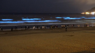 Αυτή η λάμψη στη θάλασσα της Ιαπωνίας μοιάζει ως εξωγήινη δημιουργία (pics&Vid)