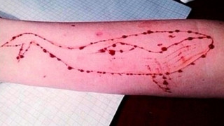Μια 15χρονη το πρώτο θύμα της «μπλε φάλαινας» στην Ελλάδα