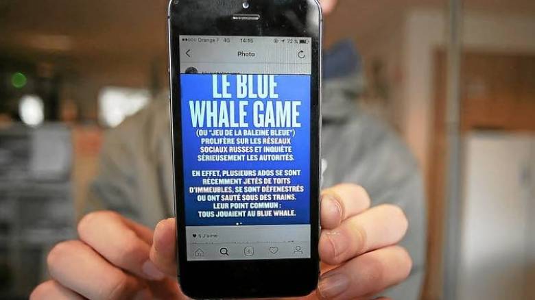 Παρέμβαση της εισαγγελίας του Αρείου Πάγου για τη «Μπλε Φάλαινα»