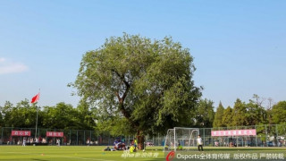 Γιατί αυτό το γήπεδο ποδοσφαίρου έχει ένα δένδρο στη μέση;