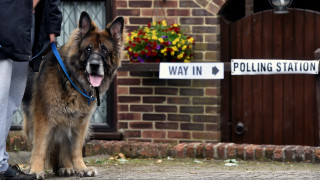Βρετανικές εκλογές: Τα σκυλιά είναι οι απρόσμενοι σταρ των βουλευτικών εκλογών