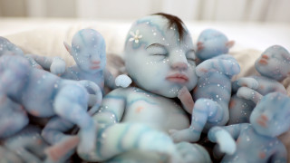 Με καταγωγή από το Avatar αλλόκοτα μωρά αναζητούν φροντίδα