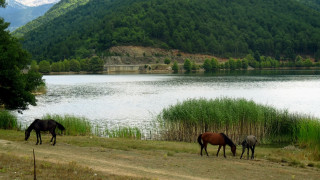 Ιωάννινα: Μετέφεραν τα ναρκωτικά στα αλβανικά σύνορα με… άλογα