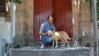 Το Χάτσικο της Βρίσας: Το σκυλί της άτυχης 43χρονης έσκαβε στα ερείπια για να την βρει