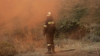 Νέα φωτιά στη Λακωνία - Απειλούνται κατοικίες στον οικισμό Παρασυρό
