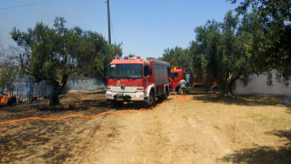 Πάτρα: Πυρκαγιά στην Μαγούλα κοντά στο πανεπιστήμιο