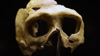 Το ζευγάρωμα των προγόνων μας με Νεάντερταλ έγινε τουλάχιστον 220.000 χρόνια πριν