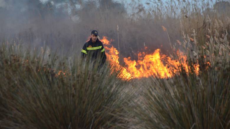Πύρινα μέτωπα στην Κρήτη-Πάνω από 56 πυρκαγιές σε όλη τη χώρα σε ένα 24ωρο