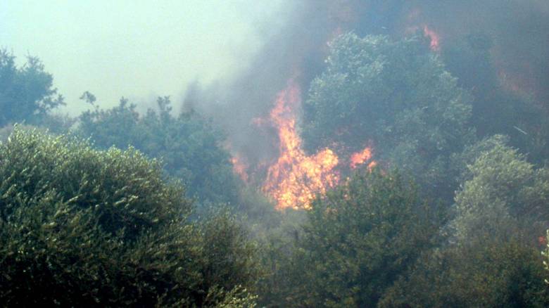 Κρήτη: Μαίνεται η φωτιά στην Ανατολή Ιεράπετρας, περιορίστηκε στους Πεύκους Σητείας
