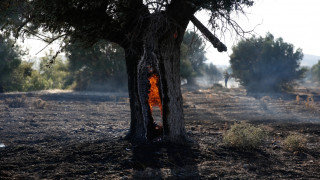 Πολύ υψηλός κίνδυνος πυρκαγιάς για σήμερα - Ποιες περιοχές κινδυνεύουν