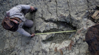 Κίνα: Ανακάλυψαν αποτυπώματα δεινοσαύρων ηλικίας 100 εκατ. ετών
