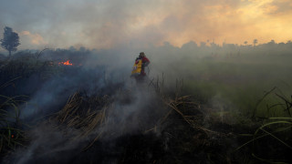 Ιταλία: Εθελοντές πυροσβέστες έβαζαν φωτιές για να εισπράττουν χρήματα για την προσπάθεια κατάσβεσης
