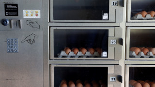 Λαμβάνει επικίνδυνες διαστάσεις το διατροφικό σκάνδαλο με τα αυγά στην Ευρώπη