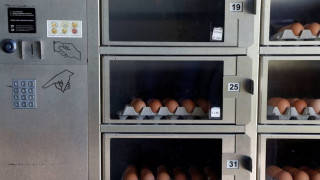 Μολυσμένα αυγά στην Ευρώπη: Η παρουσία του εντομοκτόνου ήταν γνωστή από το 2016