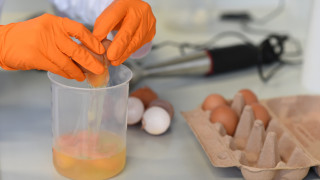 Δύο ύποπτοι για το σκάνδαλο με τα μολυσμένα αυγά συνελήφθησαν στην Ολλανδία
