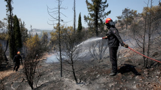Αλβανία: Συνεχίζονται οι προσπάθειες κατάσβεσης πυρκαγιάς με βοήθεια από την Ελλάδα