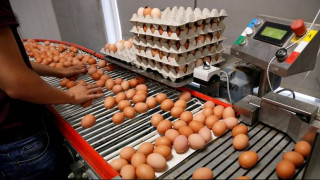 Διατροφικό σκάνδαλο: Η Ουγγαρία αποσύρει από την αγορά μολυσμένα αυγά