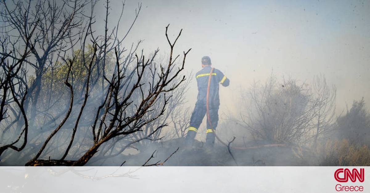 Σε επιφυλακή οι πυροσβεστικές δυνάμεις στην Ηλεία υπό τον ...